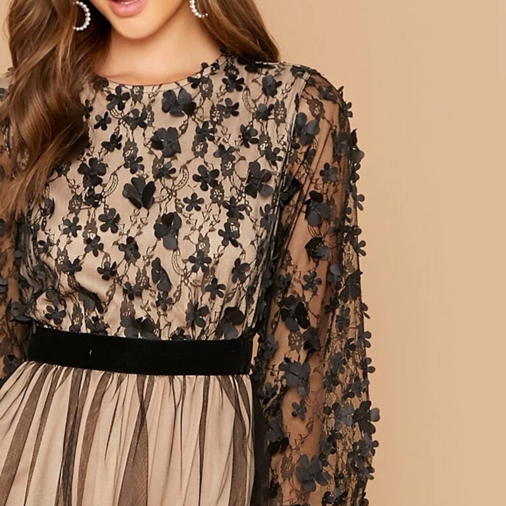 3D Appliques Detail Mesh Overlay Flare Dress